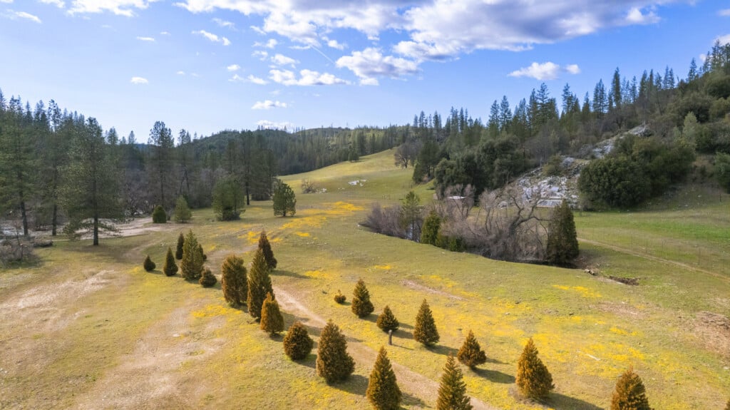 Kowana Valley in the Spring with wildflowers in bloom near Yosemite