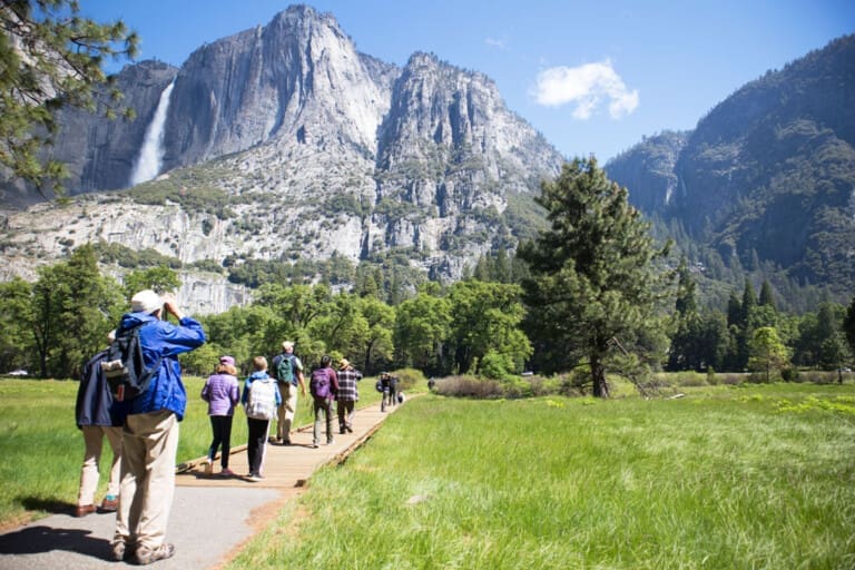 Bird Walk May 2019 002 credit Fortlointain fortlointain.com 94058230H