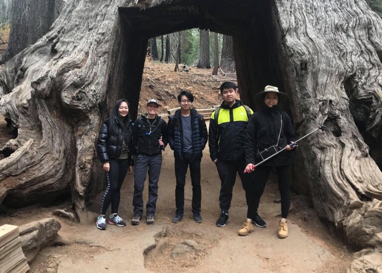 caption (16)