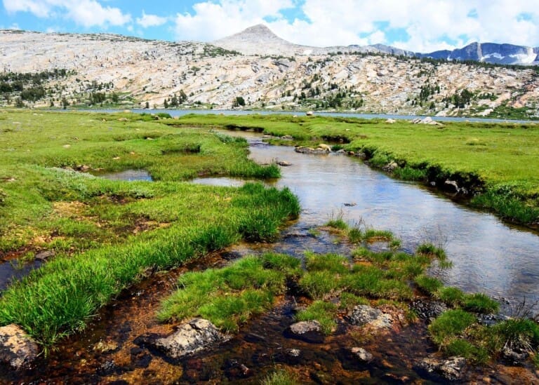 Tuolumne Meadows Tour